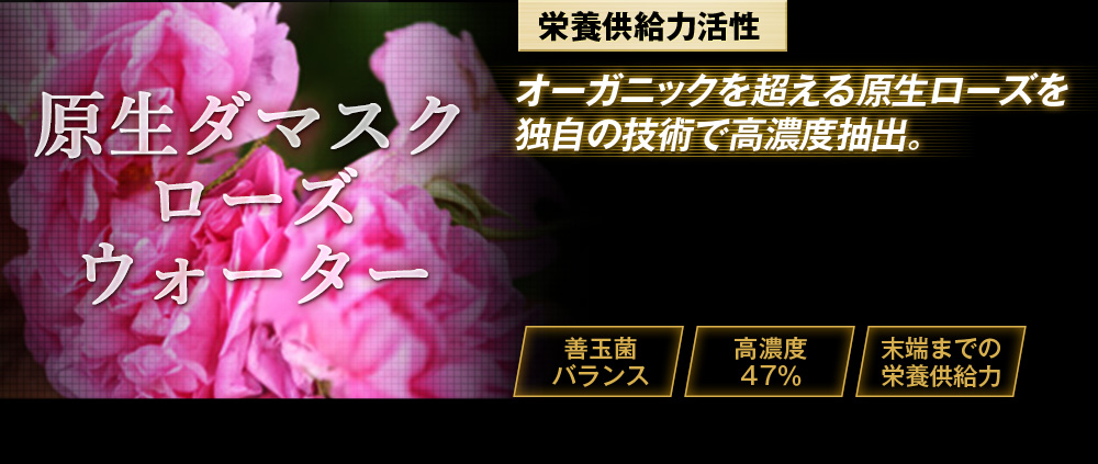 原生ダマスクローズウォーター