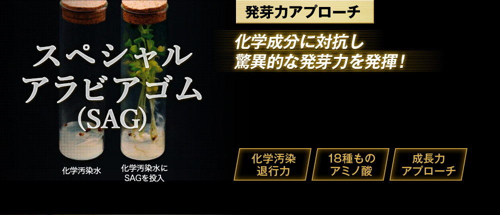 タマネギ根エキス