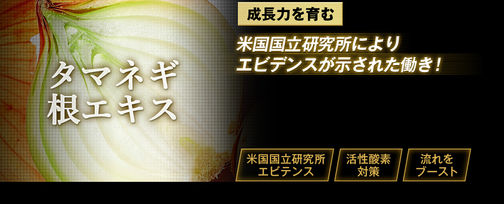 スペシャルアラビアゴム